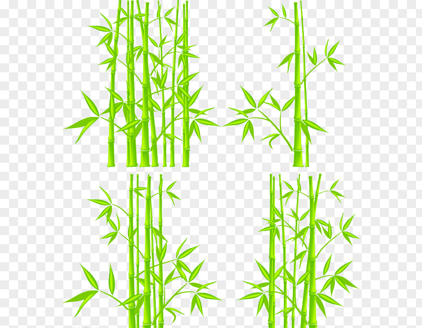 Bamboo Creative Sketch Royalty-free Clip Art PNG