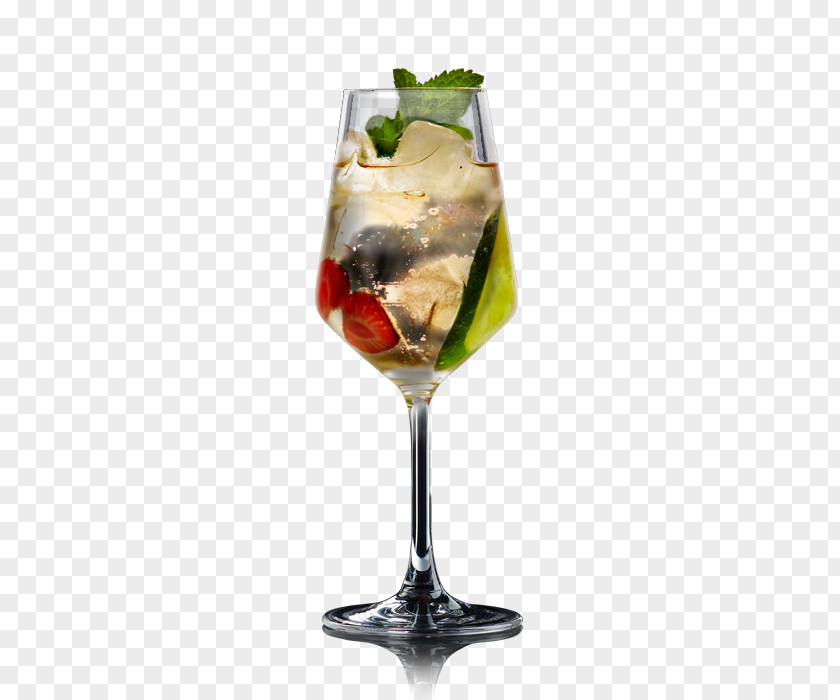 Cocktail Lillet Garnish Gin And Tonic Apéritif PNG