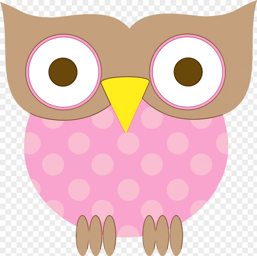 Owls Birds Beak Owl M Snout PNG