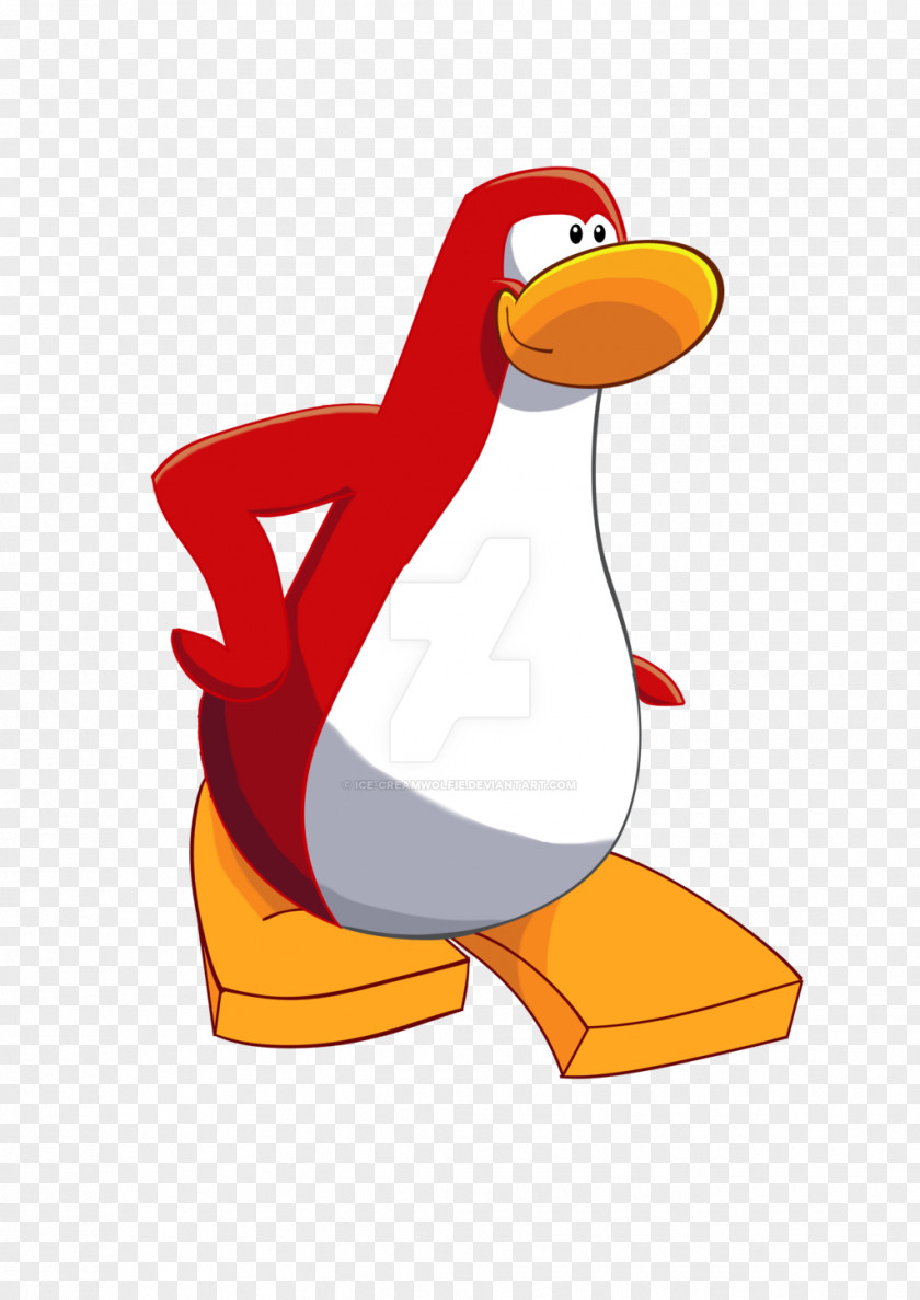 Penguin Simba Water Bird PNG