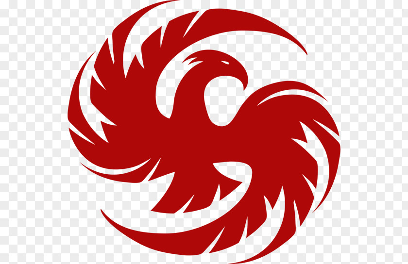 Phoenix Image Logo PNG