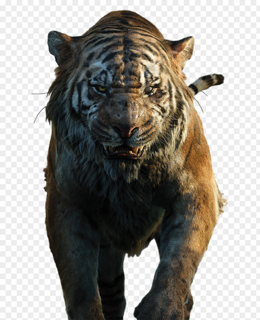 The Jungle Book Shere Khan Baloo Mowgli Bagheera PNG