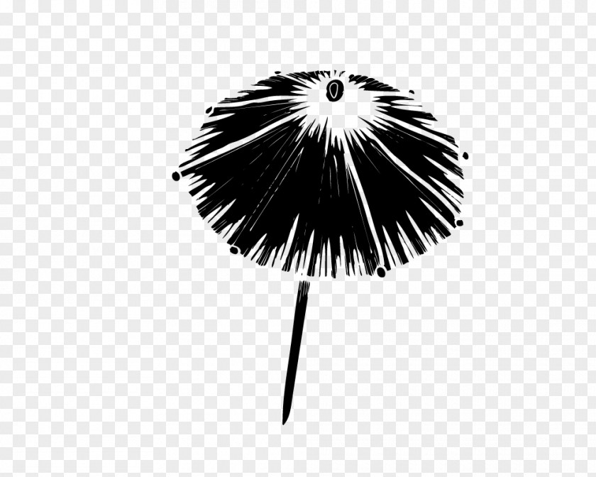 Umbrella Euclidean Vector PNG