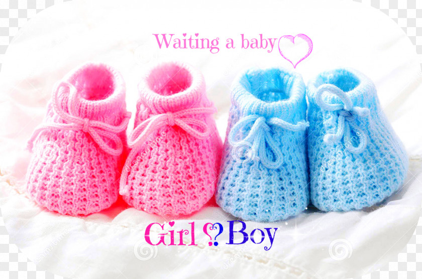 Child Infant Blue Pink Pregnancy PNG