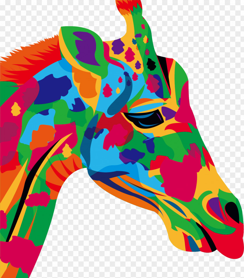 Color Graffiti Horse Head Drawing Stock Photography Illustration PNG