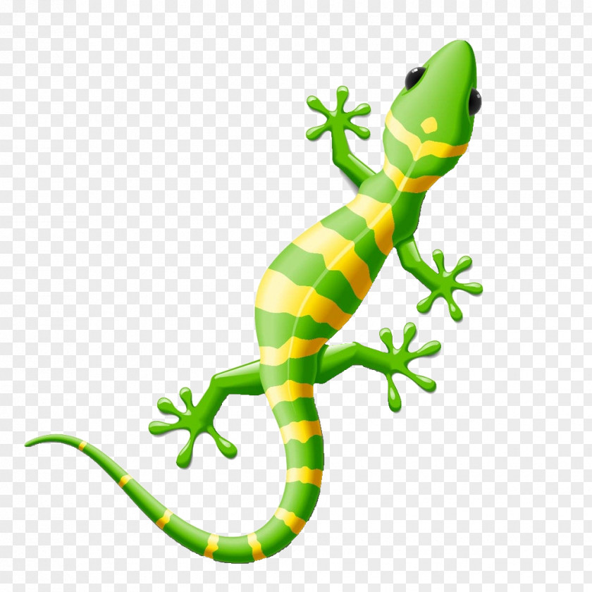 Creative 3D Gecko Lizard Reptile Clip Art PNG