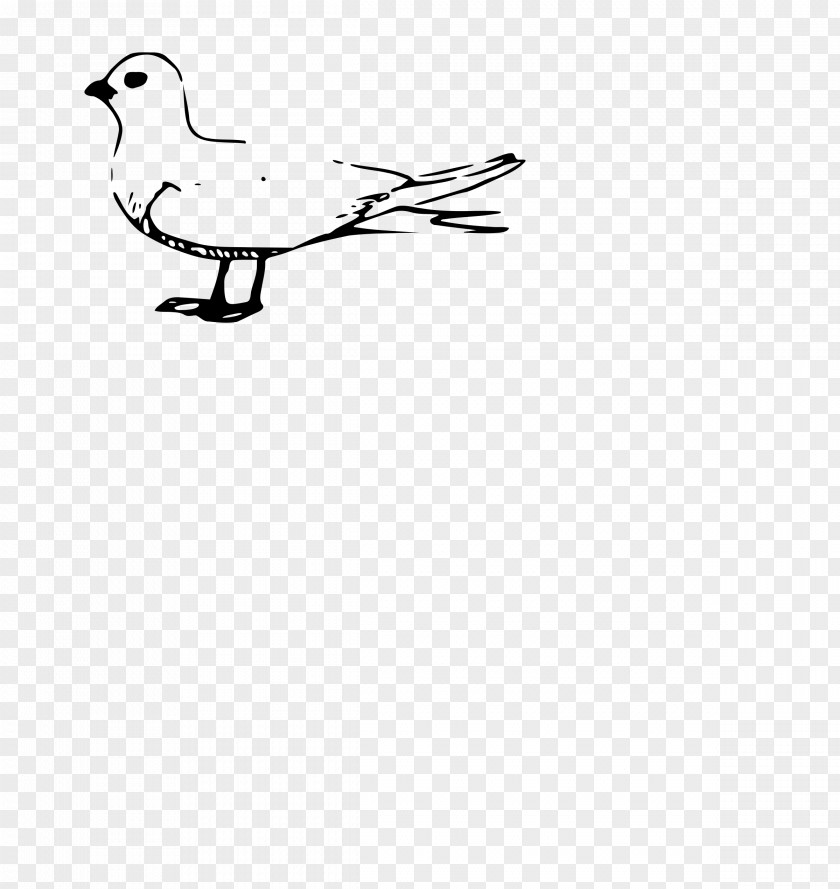 Duck Gulls Bird Clip Art PNG