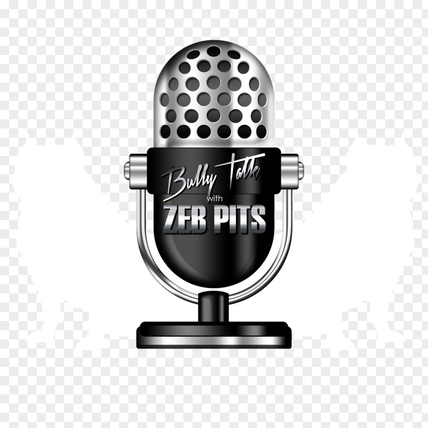 Microphone Wireless Clip Art Image PNG