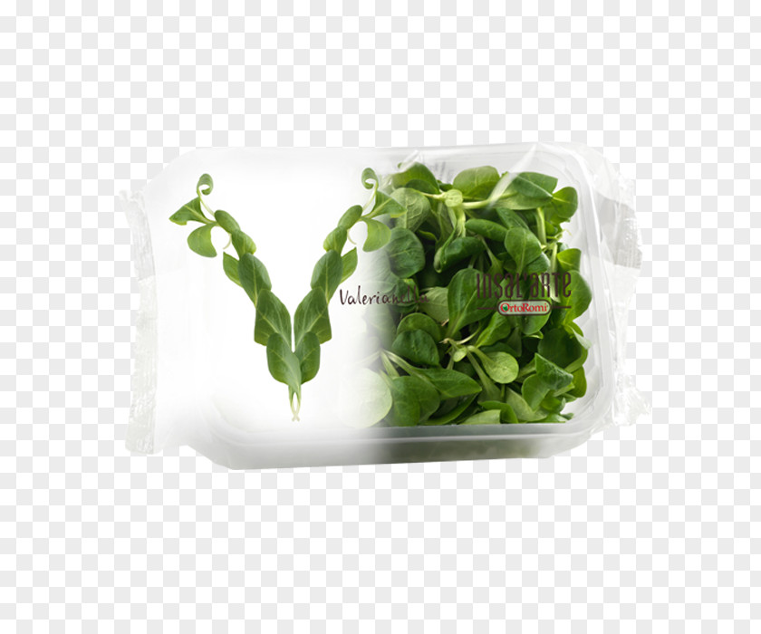 Salad Food Ice Cream Side Dish PNG