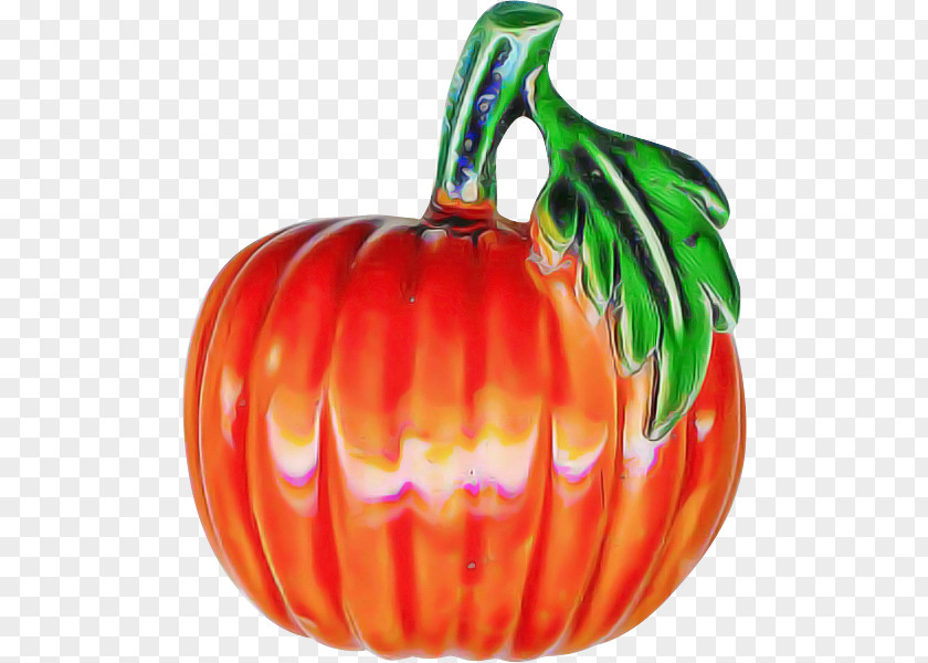 Squash Winter Fruit PNG