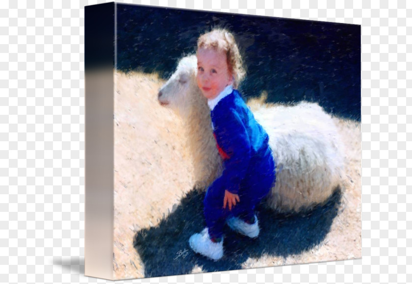 Watercolor Lamb Mammal Toddler PNG