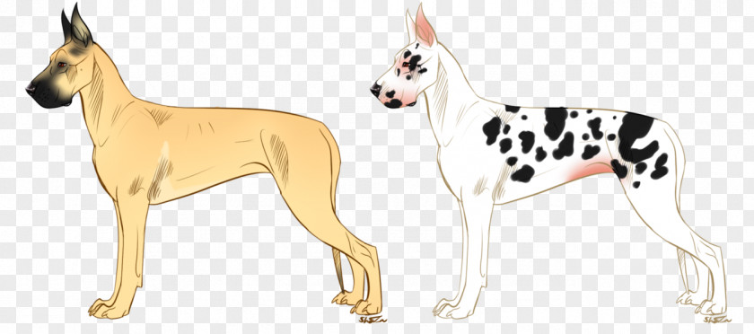 GREAT DANE Great Dane Dog Breed Non-sporting Group Line Art PNG