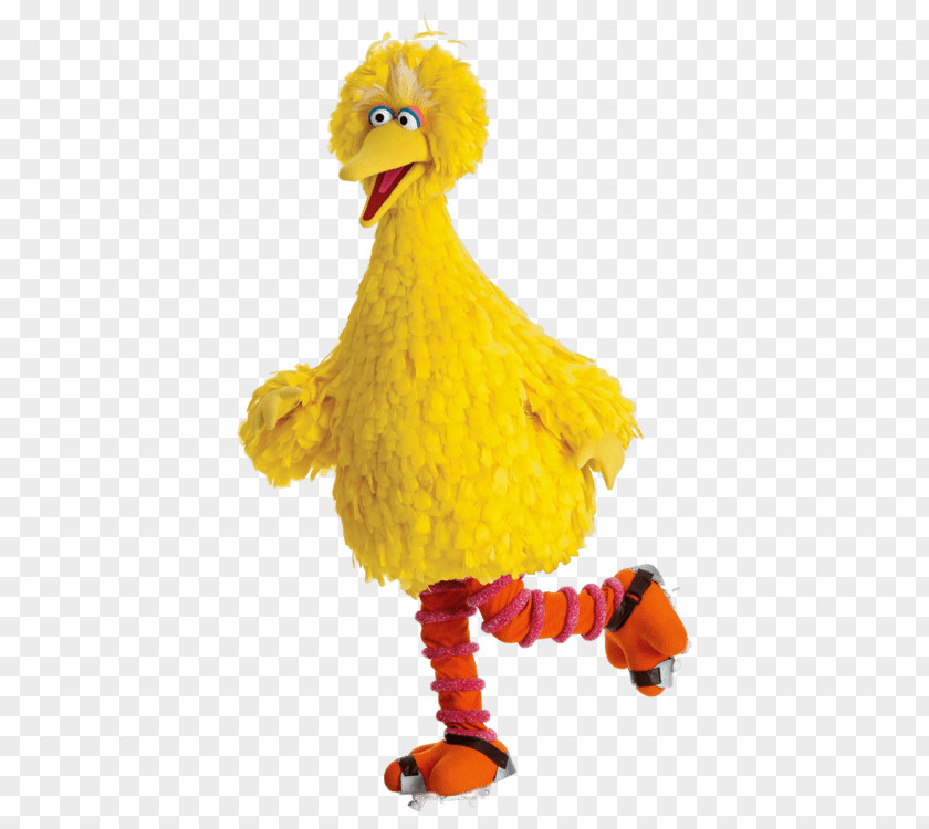 Sesame Street Big Bird Rollerskating PNG Rollerskating, clipart PNG