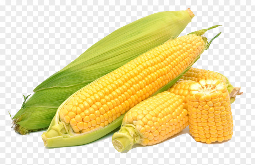 Sweet Corn On The Cob Maize PNG