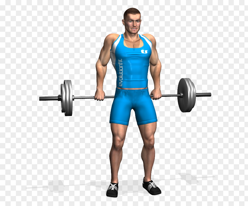 Barbell Physical Exercise Shoulder Shrug Dumbbell Weight Training PNG