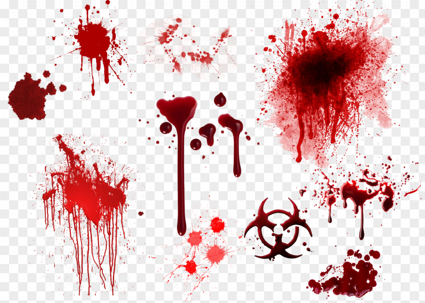 Blood Effects Red Cell Clip Art PNG