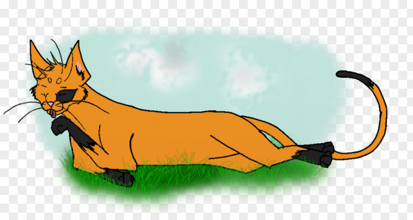 Cat Red Fox Illustration Clip Art Mammal PNG