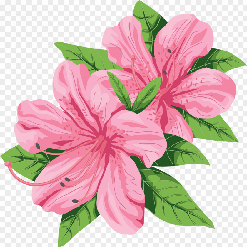 Hibiscus Flower Clip Art PNG