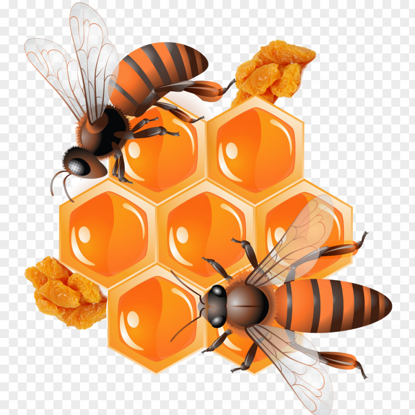 Bee And Preserves Honey PNG