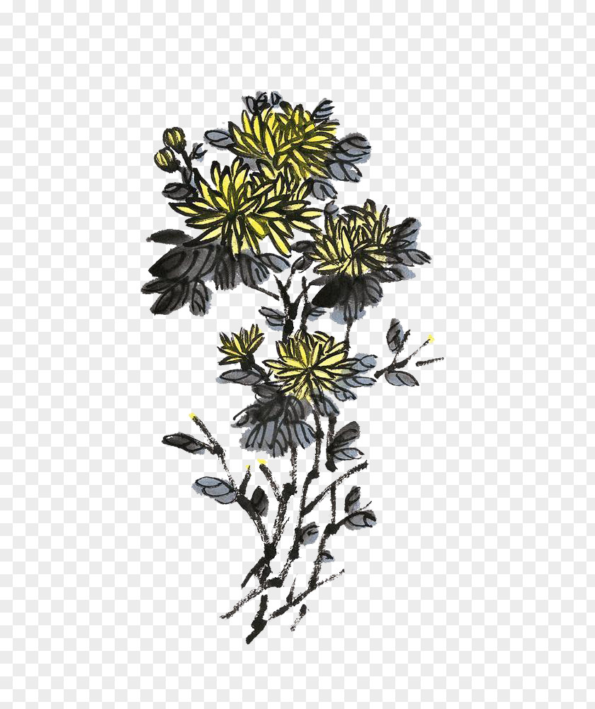Chrysanthemum Ink Wash Painting Chinese PNG