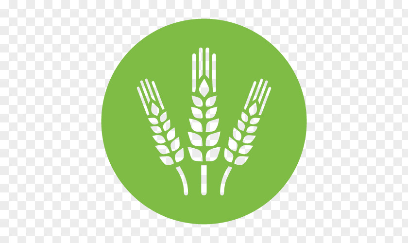 Agriculture Royalty-free Ear PNG