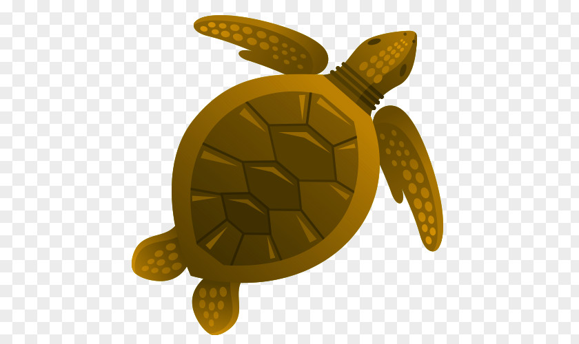 Cartoon Turtle Aquatic Animal Euclidean Vector Drawing PNG