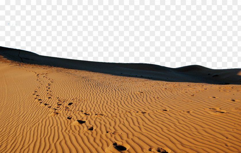 Desert Footprints Sahara Erg Singing Sand Dune PNG