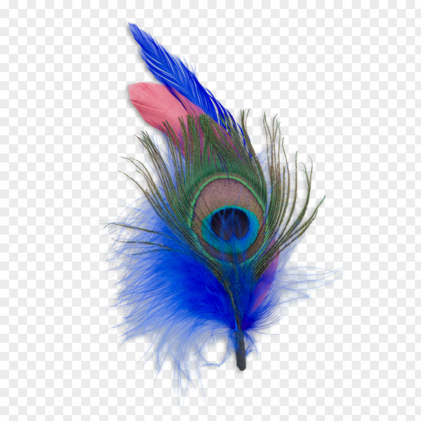 Feather Cobalt Blue Close-up PNG