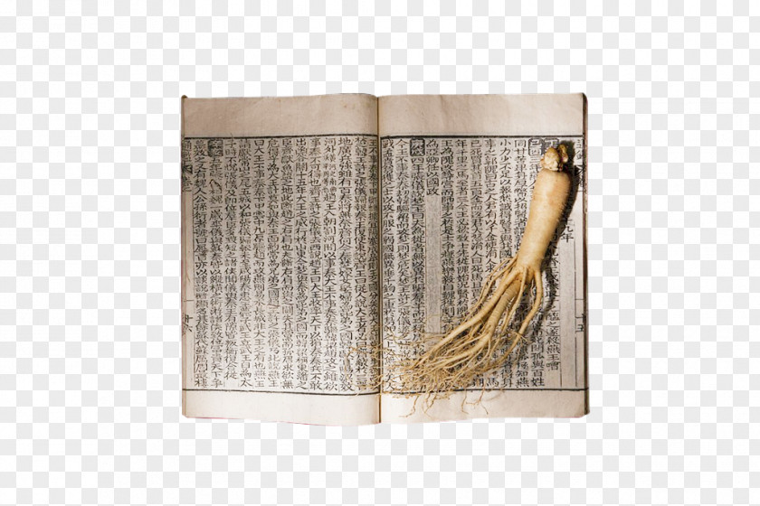 Ginseng Herbs Asian Crude Drug Chinese Herbology Traditional Medicine PNG