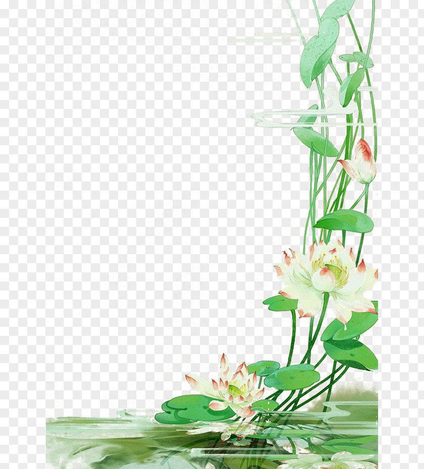 Lotus Drawing Google Images Clip Art PNG