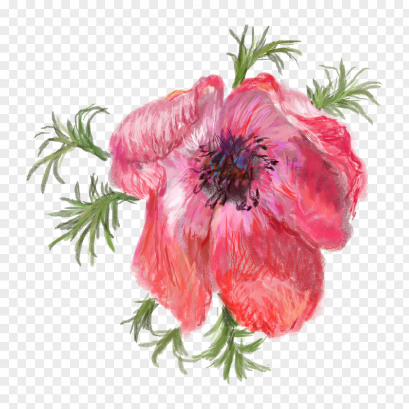 Pomegranate Safflower Opium Poppy Flower Red PNG
