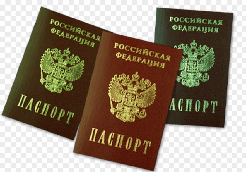 Ukraine Passport Material Ukrainian Travel Visa PNG