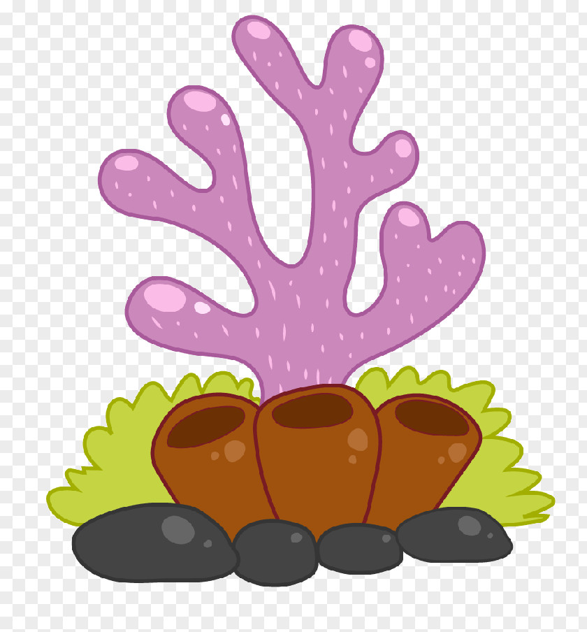 Borde Poster Clip Art Image Cartoon Coral Drawing PNG