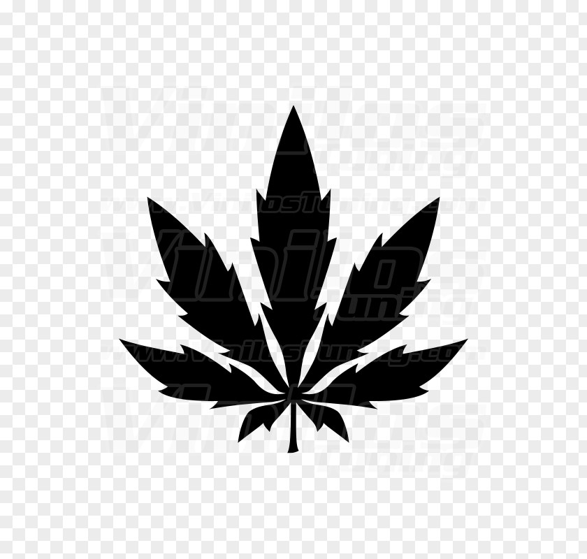 Dibujos De Marihuana Medical Cannabis Marijuana Leaf Hemp PNG