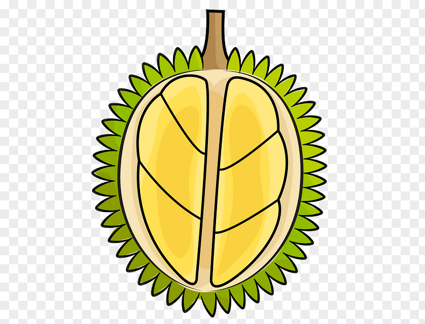 Durian Plant Yellow Fruit PNG