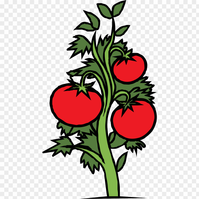 Tomato Cliparts Plant Free Content Clip Art PNG