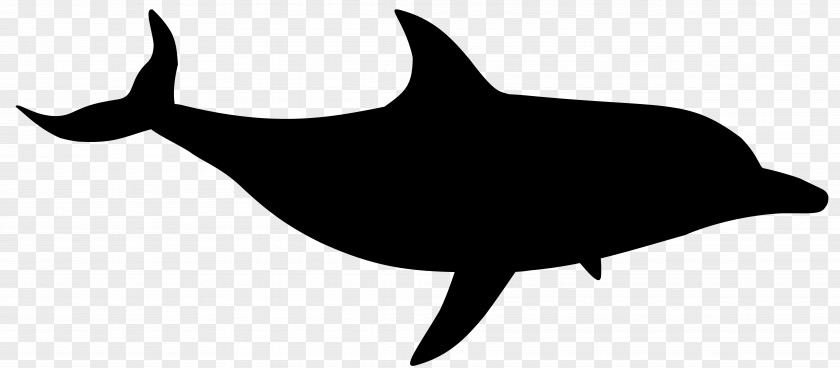 Dolphin Shark Clip Art Fauna Silhouette PNG
