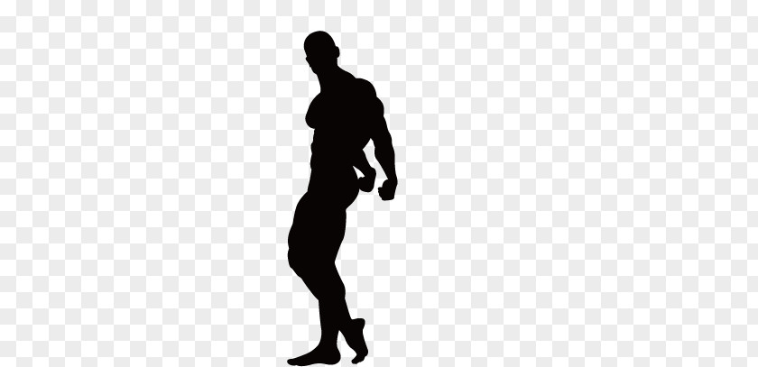 Fitness Silhouette Figures Centre Bodybuilding Physical Exercise Clip Art PNG