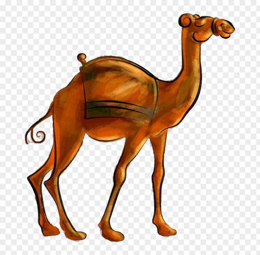 Hand-painted Cartoon Camel PNG
