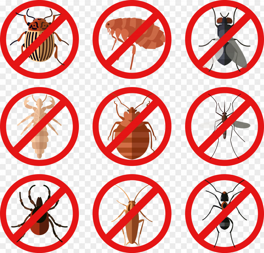 Insect Sign Vector Mite PNG