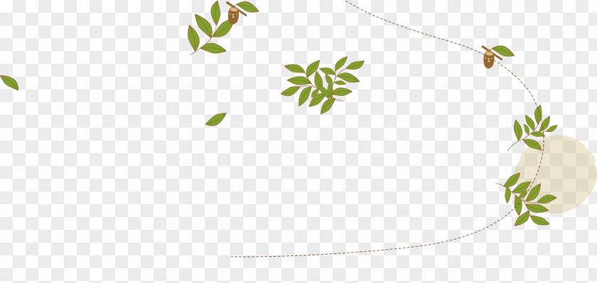 Leaf Twig Plant Stem PNG