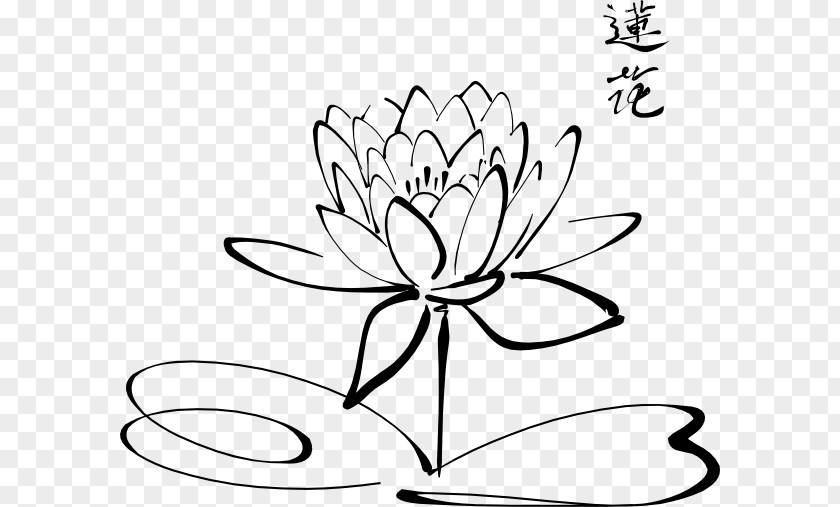 Lotus Drawing Calligraphy Clip Art PNG