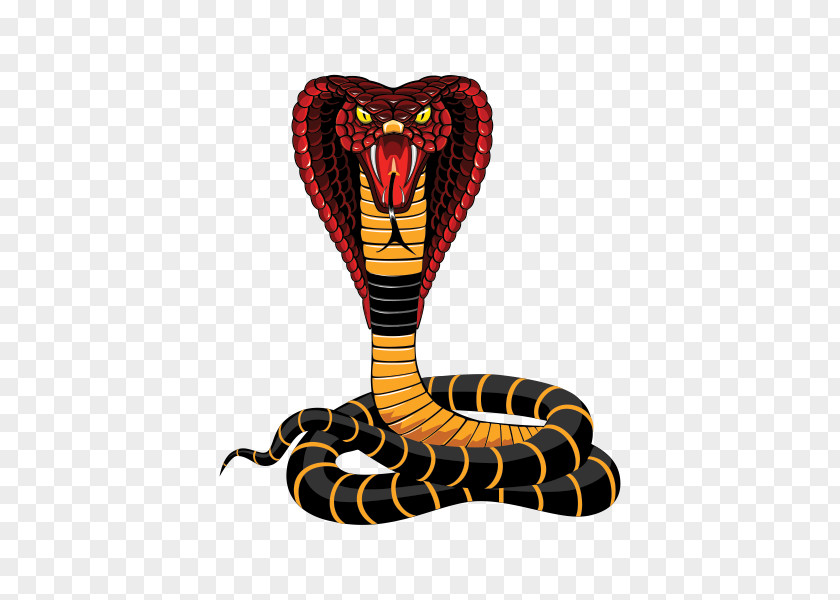 Snake Serpent King Cobra Reptile Elapidae PNG