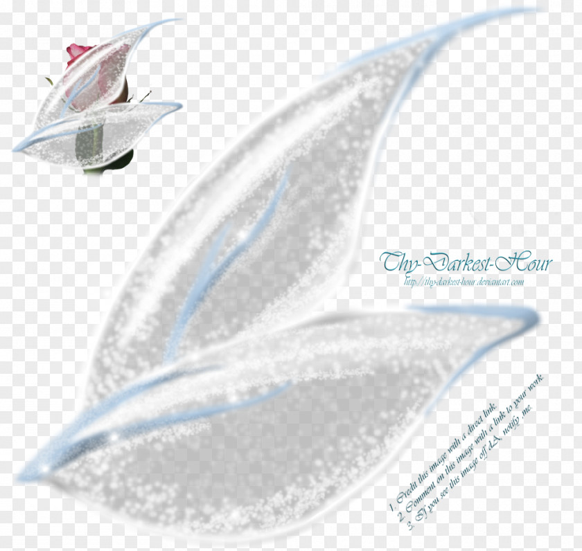 Sparkling Wing Paper Fairy Feather PNG