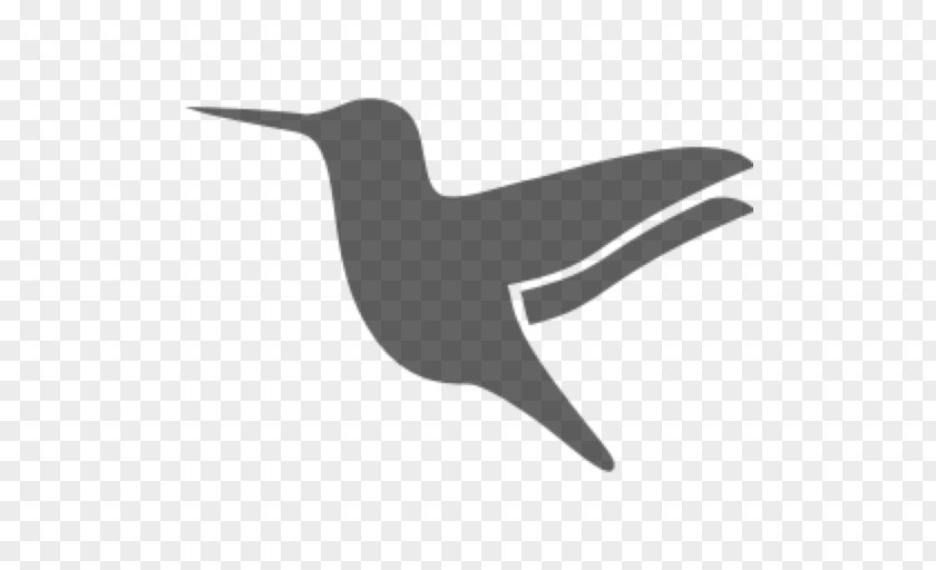 Symbol Hummingbird PNG