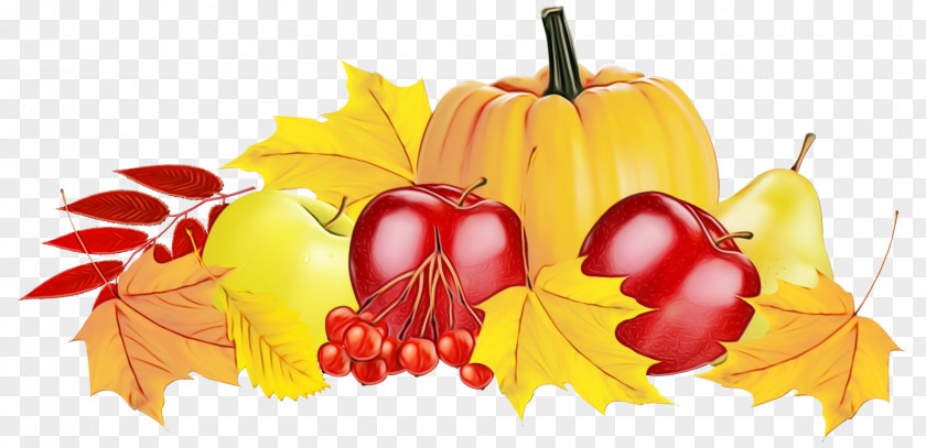 Thanksgiving Vitis Tree Of Life PNG