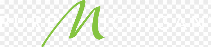Tie Branch Chaos Leaf Logo Green Plant Stem Font PNG