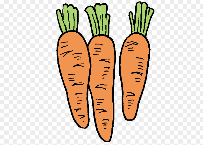 Carrot Illustration Clip Art Vegetable Text PNG