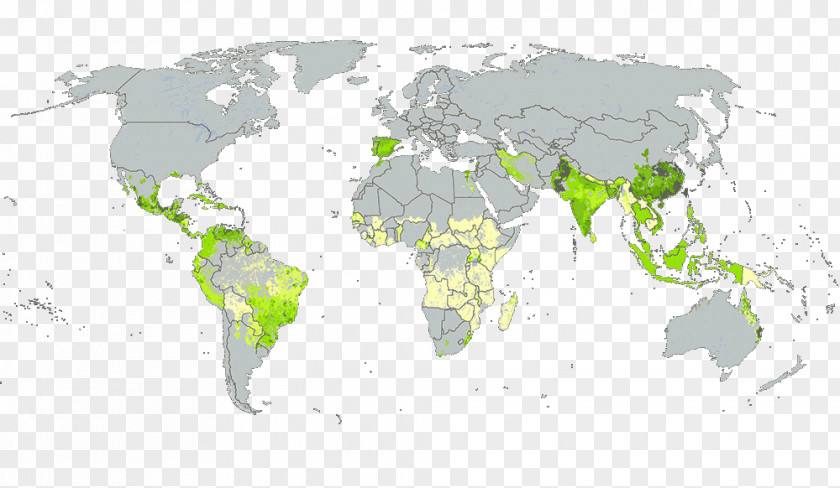 Cassava World Map Religion Glavne Svetovne Religije PNG