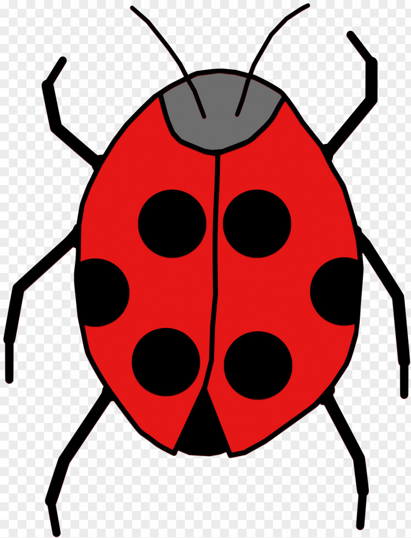 Ladybug Beetle Ladybird Cartoon Clip Art PNG